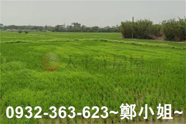 湖口農地-2