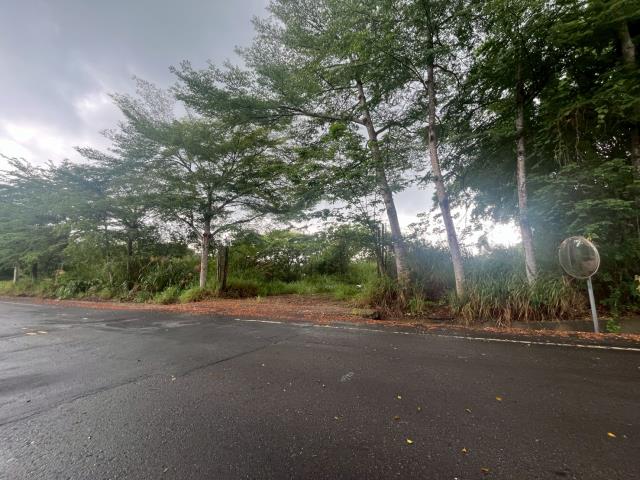 南投工業地-14