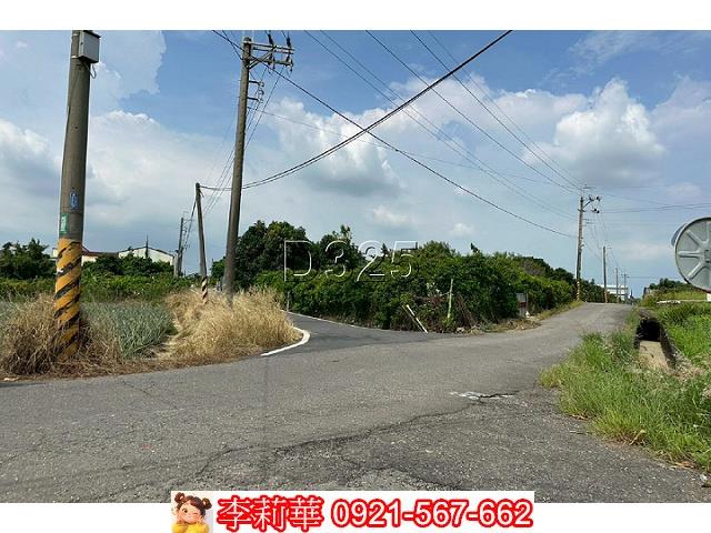 台南農地-2