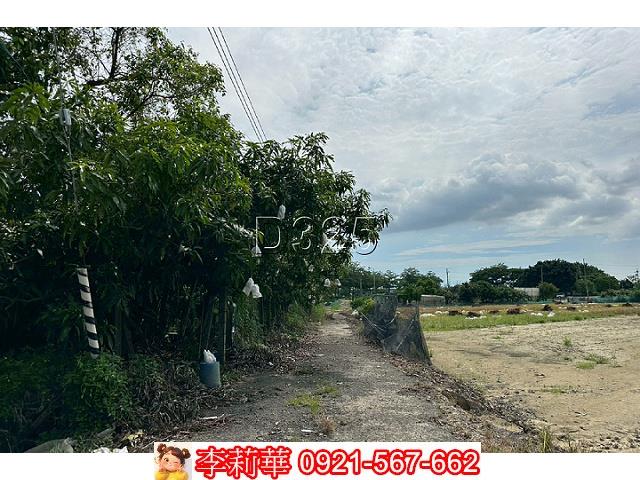 台南農地-5