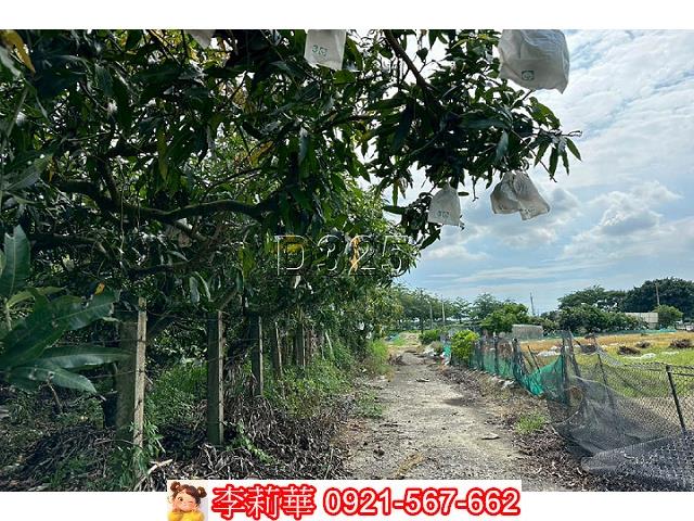 台南農地-6
