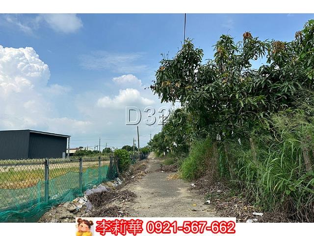台南農地-7