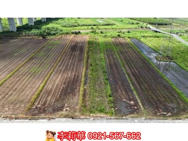 台南農地-4