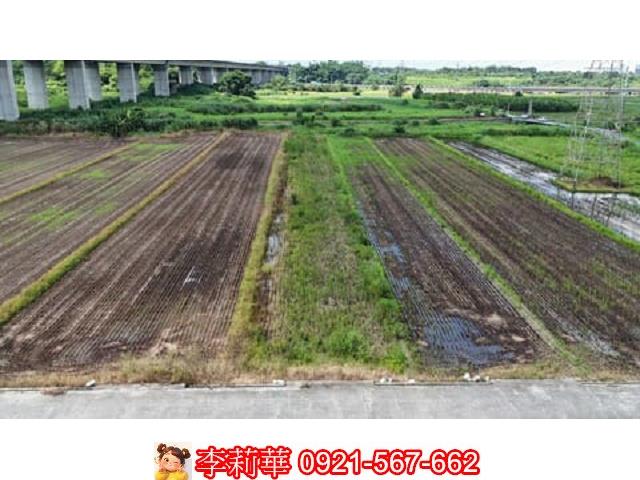 台南農地-5