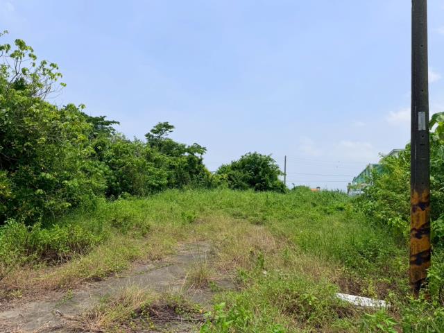 台南七股建地-6