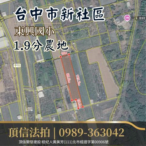 台中新社法拍農地-3