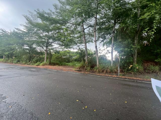 南投草屯工業地-13