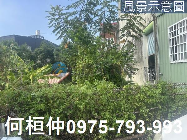 苗栗三灣建地-2