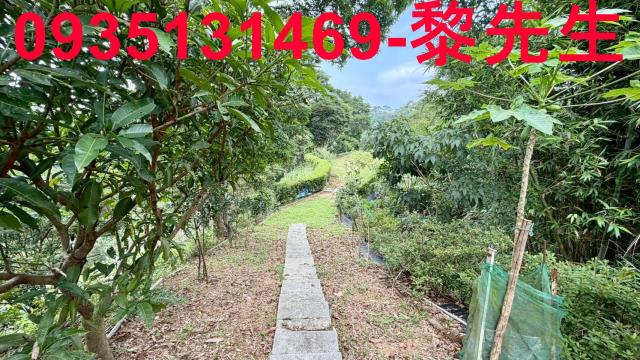 新竹北埔農地-7