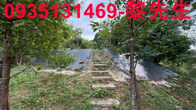 新竹北埔農地-6