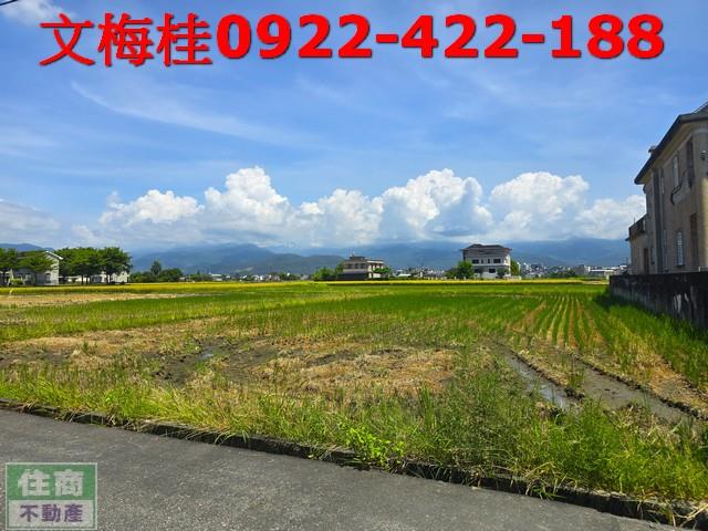 宜蘭宜蘭市農地-5