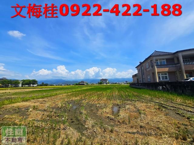 宜蘭宜蘭市農地-7
