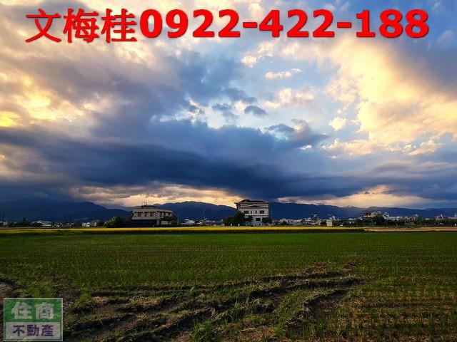 宜蘭宜蘭市農地-8