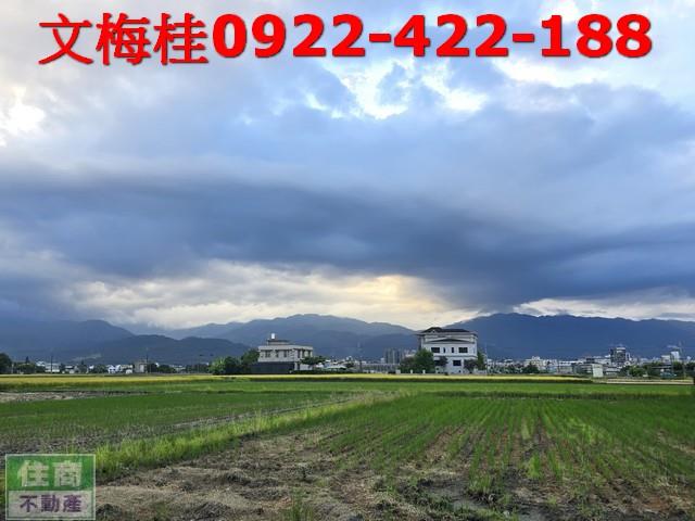 宜蘭宜蘭市農地-9