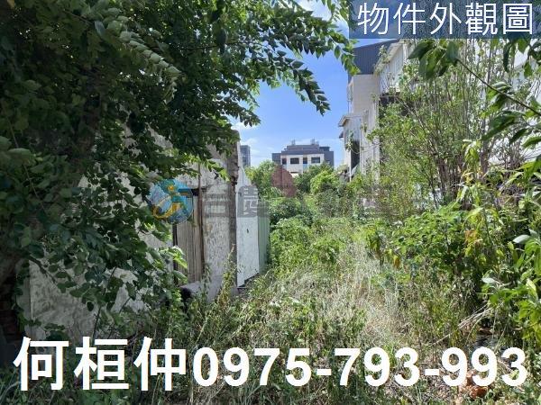 苗栗竹南建地-3