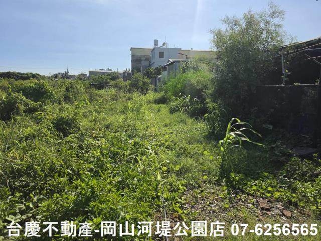 阿蓮農地-10