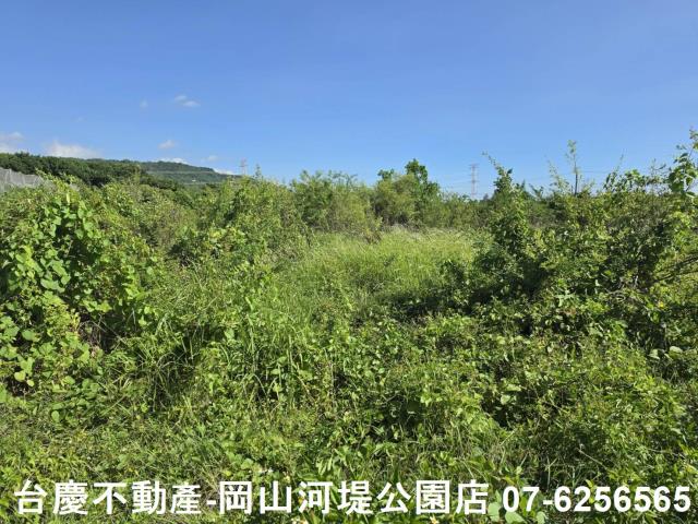 阿蓮農地-11