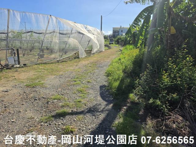 阿蓮農地-2