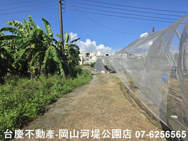 阿蓮農地-1