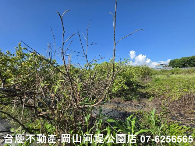 阿蓮農地-4