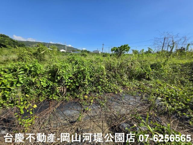 阿蓮農地-5