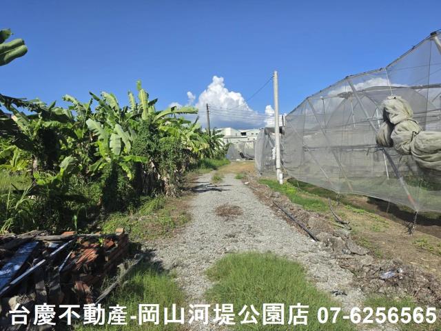 阿蓮農地-8