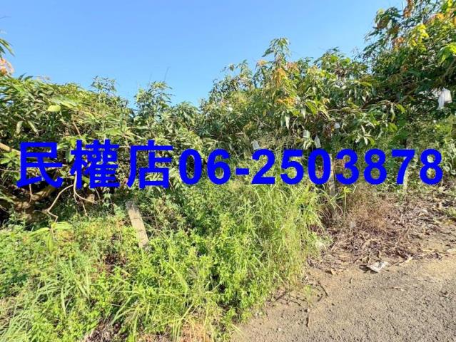 新化農地-5