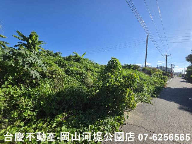 阿蓮農地-11
