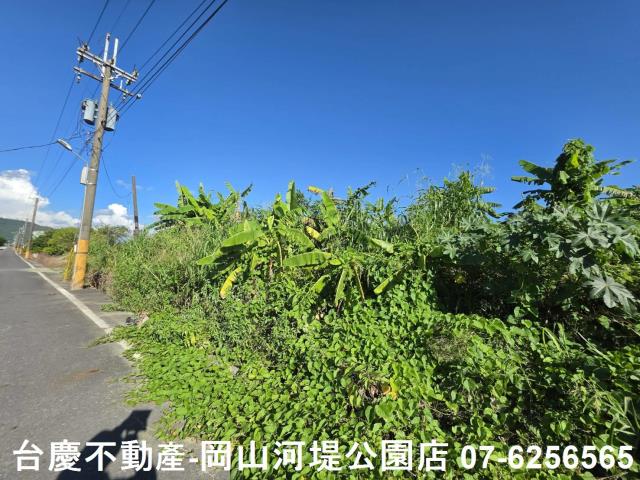 阿蓮農地-12