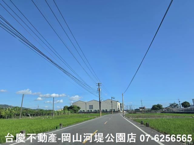 阿蓮農地-2