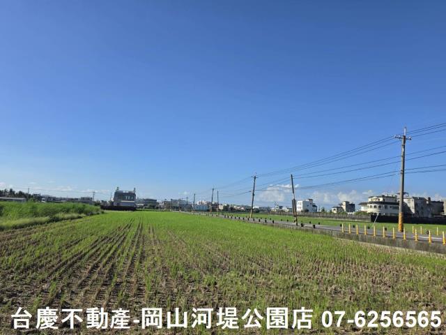 阿蓮農地-1