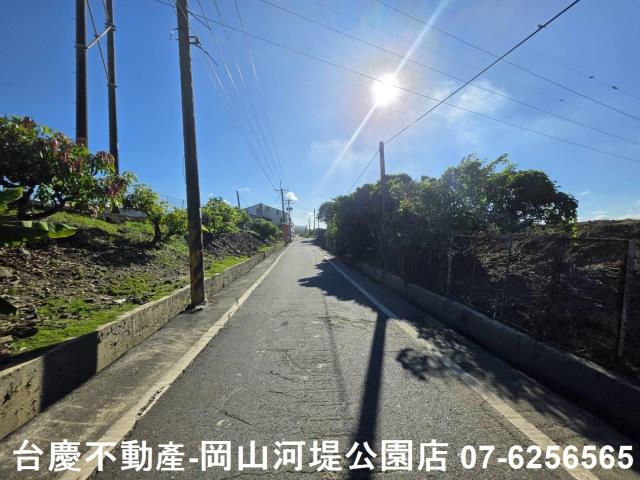 阿蓮農地-4