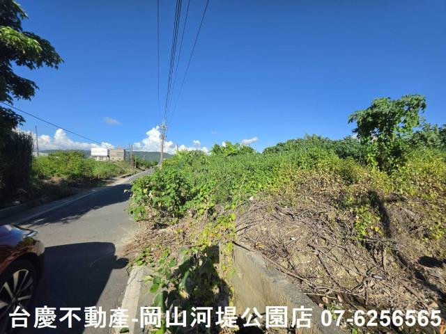 阿蓮農地-5