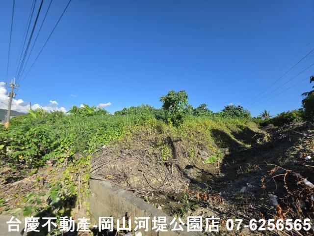 阿蓮農地-6