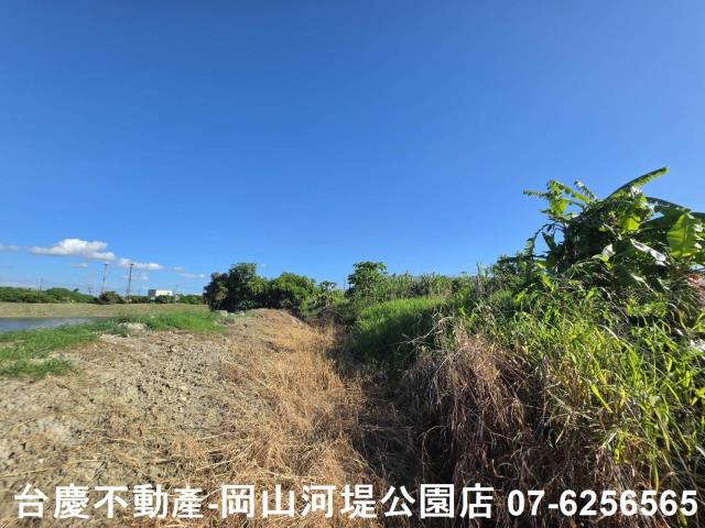 阿蓮農地-8