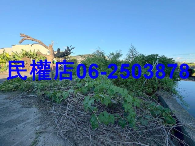 西港農地-10