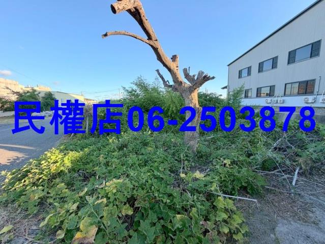 西港農地-8