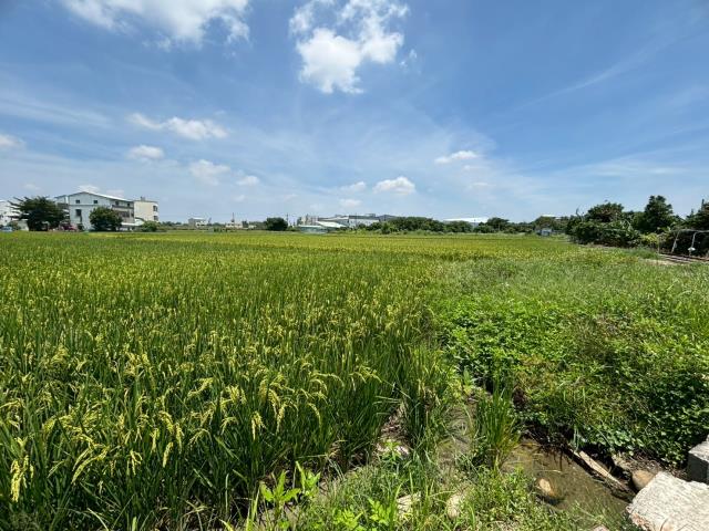 都內農地1756坪