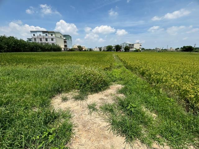 都內農地1756坪