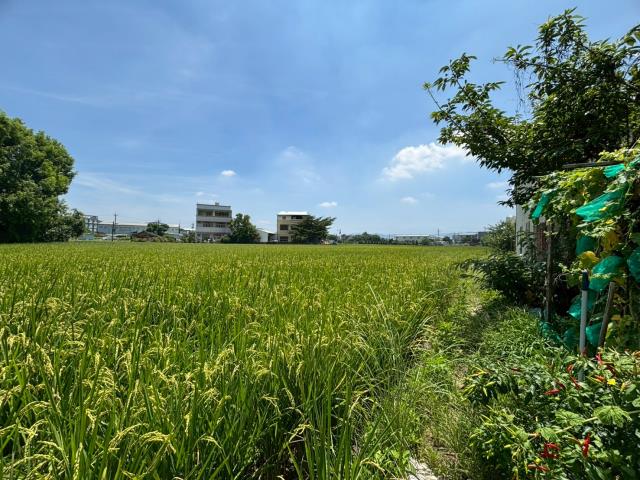 都內農地1756坪