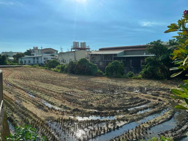 台中農地-5