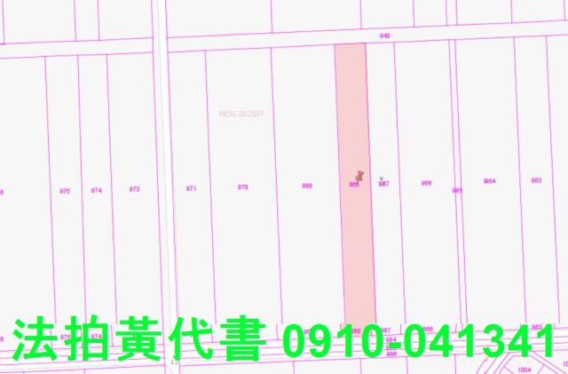 嘉義法拍農地-4