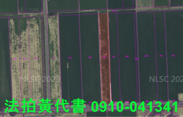 嘉義法拍農地-5