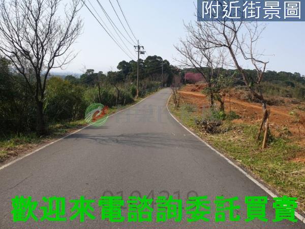 新北農地-1