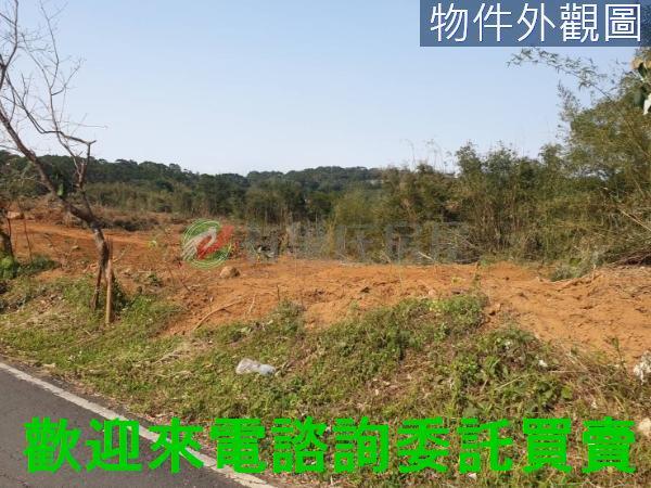 新北農地-2