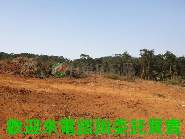 新北農地-4