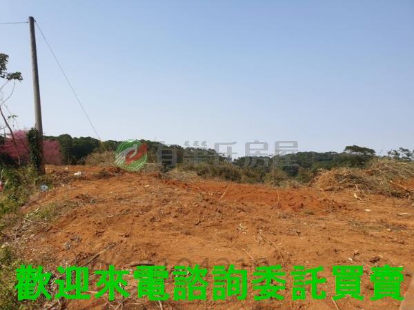 新北農地-6