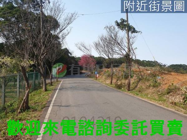 新北農地-8