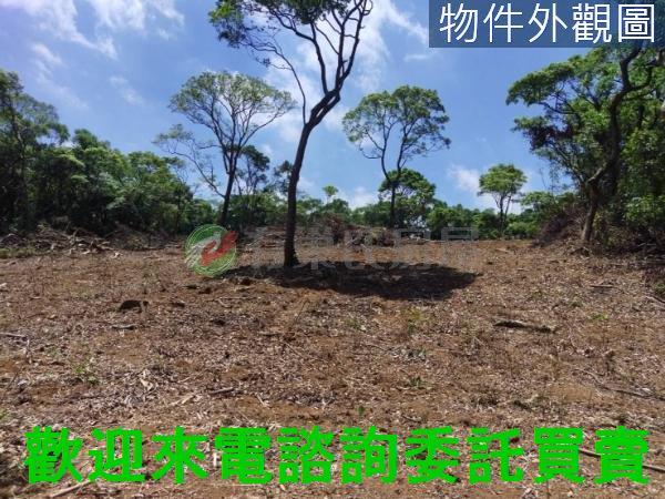 新北農地-1
