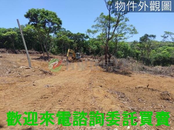 新北農地-2
